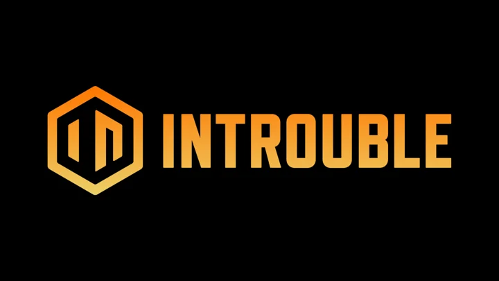INTROUBLE Insight Rebrand